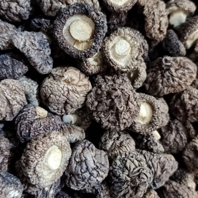 小香菇干货 批发 珍珠菇 金钱菇 冬菇 剪脚福建漳平特产500g图2
