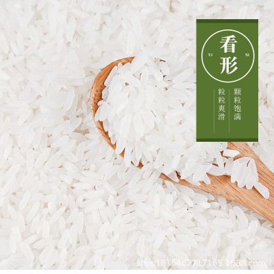 龙眠山农家自产现磨茉莉香米炒饭煲仔饭饭店长粒香米9斤袋装批发图4