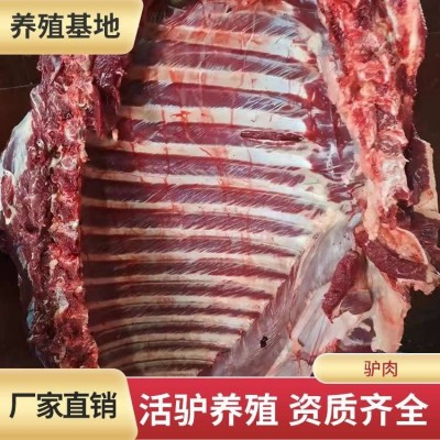 茂隆 冷冻生鲜驴肉 口感滑嫩 散养毛驴批量供应图5