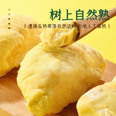 【榴莲先生】无核A级榴莲肉泰国进口金枕头冷冻榴莲肉三公斤树熟图4