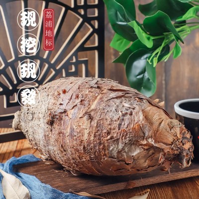 正宗广西荔浦芋头特大槟榔芋香芋毛芋批发 种植基地新鲜采挖直发图3
