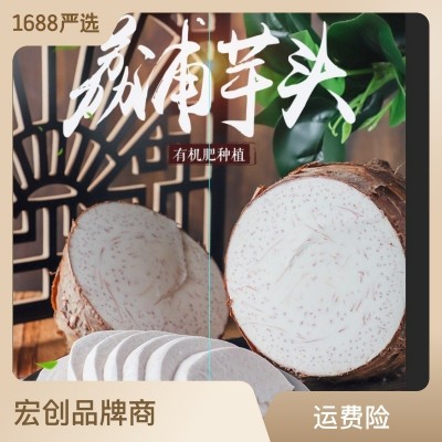 正宗广西荔浦芋头特大槟榔芋香芋毛芋批发 种植基地新鲜采挖直发图2