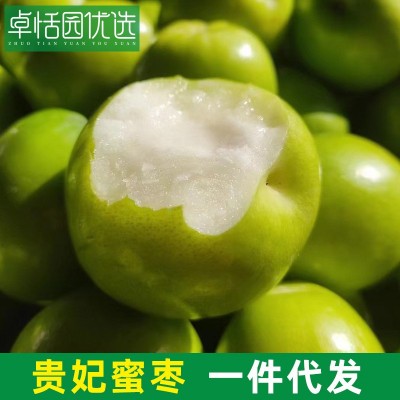 卓恬园 福建漳州贵妃蜜枣 现摘现发新鲜孕妇水果青枣牛奶蜜枣
