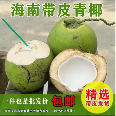 海南带皮椰青新鲜椰子4-6斤起大椰青孕妇水果厂家现摘现发免邮