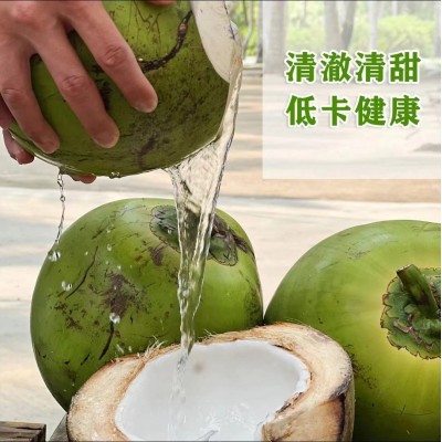 海南带皮椰青新鲜椰子4-6斤起大椰青孕妇水果厂家现摘现发免邮图3