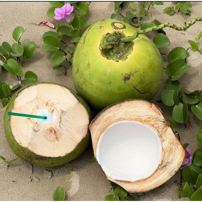 海南带皮椰青新鲜椰子4-6斤起大椰青孕妇水果厂家现摘现发免邮图4