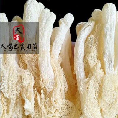 厂家直销 古田竹荪500g装精选菌菇餐饮酒店食材可散称干竹荪图5