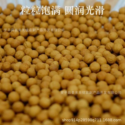 厂家供应批发云南罗平小黄姜姜丸养生纯熟浓姜丸放心可食用颗粒图3
