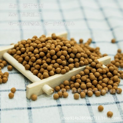 厂家供应批发云南罗平小黄姜姜丸养生纯熟浓姜丸放心可食用颗粒图4
