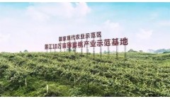 江西省农业农村厅关于开展省级新型农业经营主体质量提升整县推进试点工作的通知
