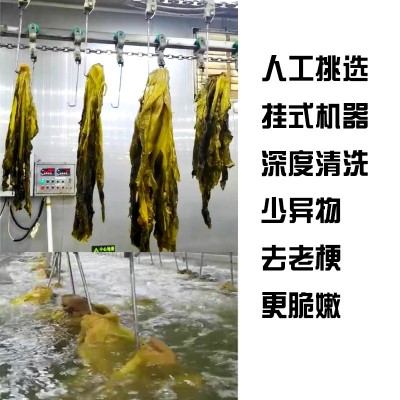 餐饮雪菜1kg原味农家宁波雪菜整箱商用大包装雪里蕻酸菜咸 菜批发图3