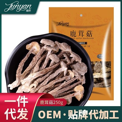 鹿茸菇云南特产鹿干货茸菌脆脆菇批发一件代发图4