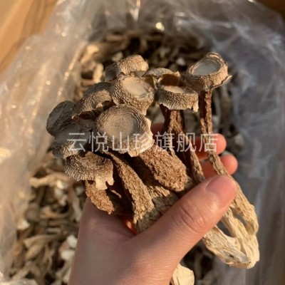 鹿茸菇云南特产鹿干货茸菌脆脆菇批发一件代发图2