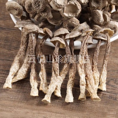 鹿茸菇云南特产鹿干货茸菌脆脆菇批发一件代发图3