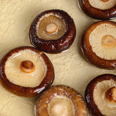 【一件代发】香菇干货98g 剪脚蘑菇干菌菇干货批发新货特产 1件图3