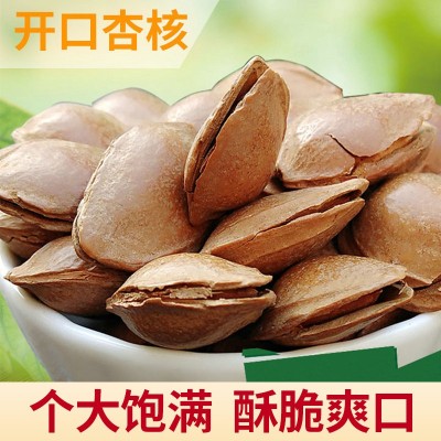 银杏核 开口杏核干果炒货厂家 手剥开口杏核零食新货开口银杏核图3