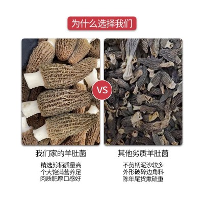 云南高原羊肚菌干货5-7cm批发剪柄头茬无沙羊肚菌菇种植基 地直发图4