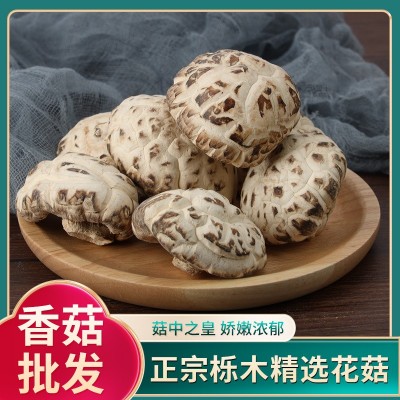 食用大花菇干货冬菇山里岗农家椴木剪脚厚香菇家用白花菇图2