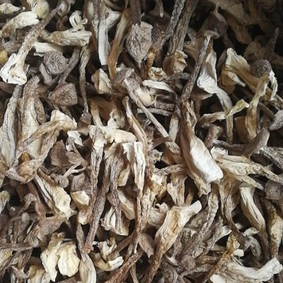 叶小玲古田新货鹿茸菇菌菇干货批发福建农产品500g新货推荐图3