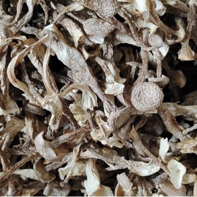 叶小玲古田新货鹿茸菇菌菇干货批发福建农产品500g新货推荐图2