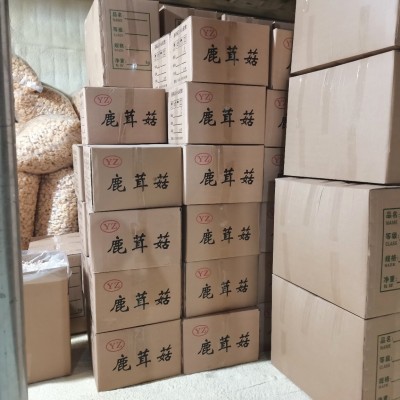 叶小玲古田新货鹿茸菇菌菇干货批发福建农产品500g新货推荐图5