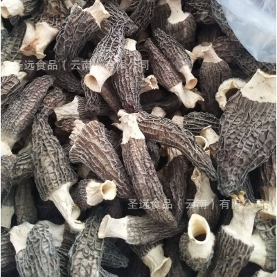 [100起订]云南羊肚菌干货定制批发贴牌代加工厂家直批菌汤包菌菇图3