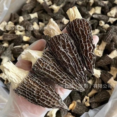 [100起订]云南羊肚菌干货定制批发贴牌代加工厂家直批菌汤包菌菇图2