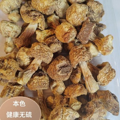 云南姬松茸干货松茸特产食用菌菇煲汤松茸菌菇汤包菌汤包批发袋装图3