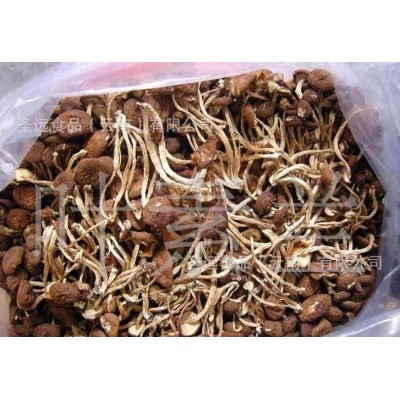 云南茶树菇干货批发 茶树菇原产地厂家直销批发干茶树菇散装袋装图3