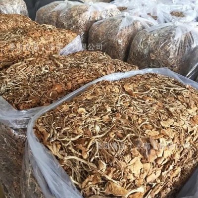 云南茶树菇干货批发 茶树菇原产地厂家直销批发干茶树菇散装袋装图2