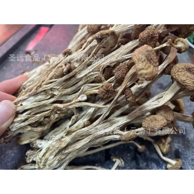 云南茶树菇干货批发 茶树菇原产地厂家直销批发干茶树菇散装袋装图4