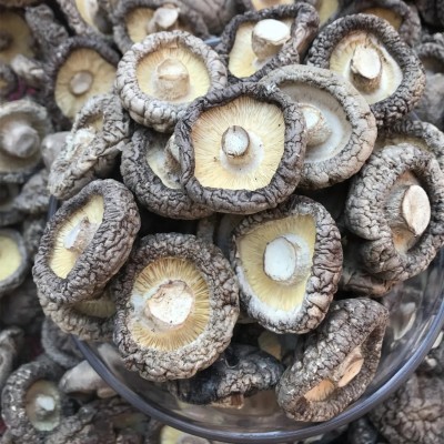 特产香菇干货厂家批发直销小香菇菌汤包批发代生产食用菌批发图5