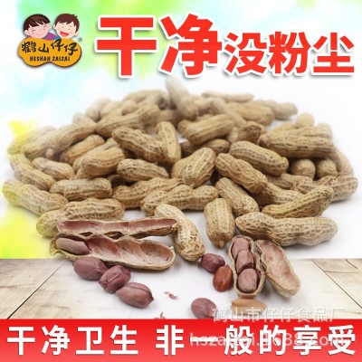 鹤山仔仔蒜香花生干果零食广东特产坚果炒货厂家批发40包208g图3