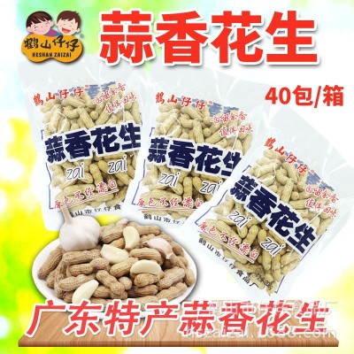 鹤山仔仔蒜香花生干果零食广东特产坚果炒货厂家批发40包208g