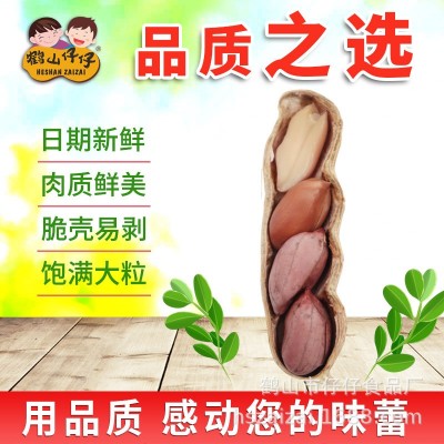 鹤山仔仔蒜香花生干果零食广东特产坚果炒货厂家批发40包208g图4