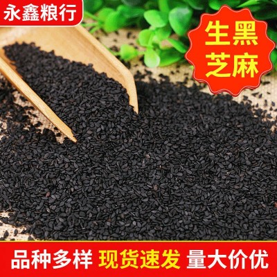 大量现货批发生黑芝麻 农家粮油作物黑芝麻 五谷杂粮袋装25公斤