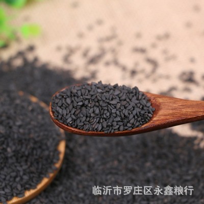 大量现货批发生黑芝麻 农家粮油作物黑芝麻 五谷杂粮袋装25公斤图2