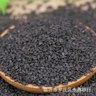 大量现货批发生黑芝麻 农家粮油作物黑芝麻 五谷杂粮袋装25公斤图5
