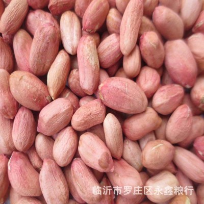 批发榨油新花生米 山东大粒花生米粮油作物 五谷杂粮袋装25公斤图4