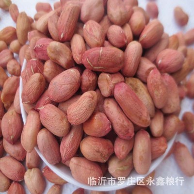 批发榨油新花生米 山东大粒花生米粮油作物 五谷杂粮袋装25公斤图2