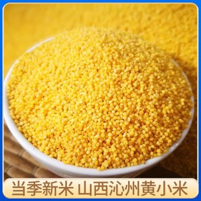 山西特产50斤/袋沁州黄小米农家自产煮粥用黄小米五谷杂粮黄小米图2