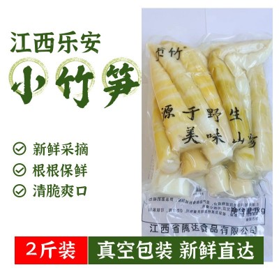 2斤装小竹笋新鲜罗汉笋江西特产餐饮蔬菜厂家直供批发