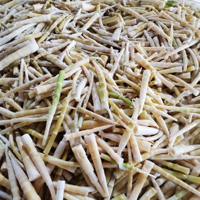 2.5kg农家水煮小竹笋片 餐饮酒店特色笋片 串串麻辣烫火锅食材图3