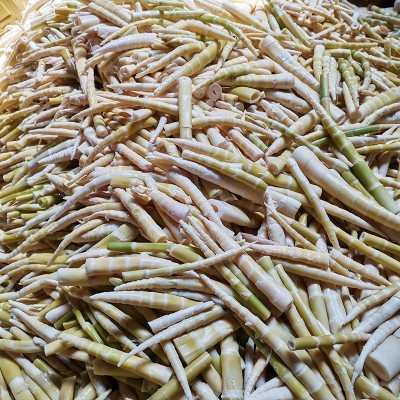 2.5kg农家水煮小竹笋片 餐饮酒店特色笋片 串串麻辣烫火锅食材图2