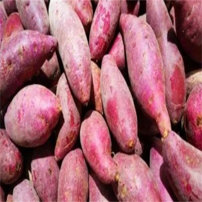 天然红薯货源充足新鲜现挖口感纯正营养美味图3
