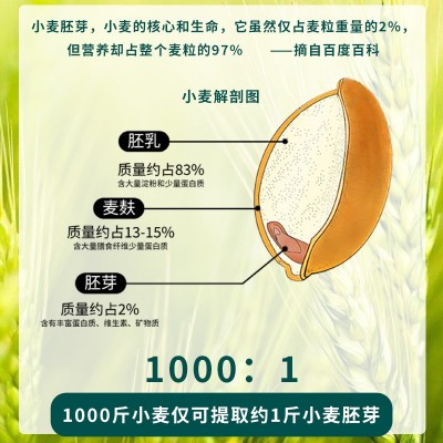 福之园小麦胚芽600g低温烘焙五谷杂粮工厂原料批发厂家展销会直播图3