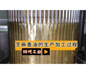 现代工业之——芝麻香油的生产加工过程（老王讲糖系列视频）