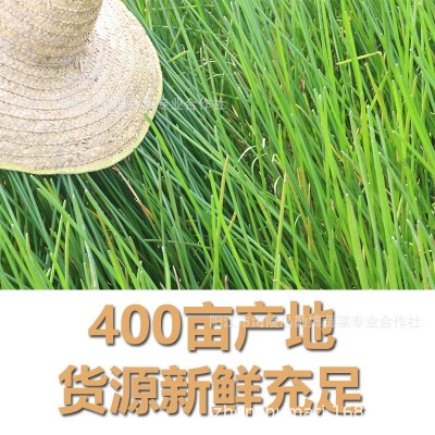 椰子鸡配料香糯珍珠马蹄茡荠新鲜去皮马蹄珍珠小马蹄合作社图3