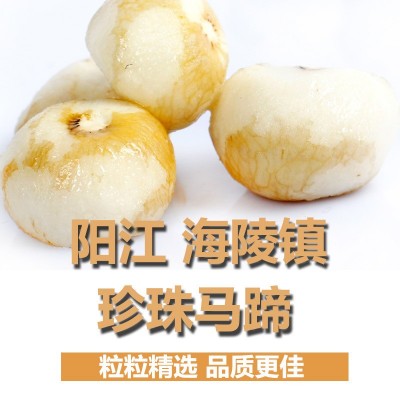 椰子鸡配料香糯珍珠马蹄茡荠新鲜去皮马蹄珍珠小马蹄合作社图4