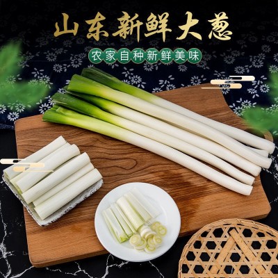 9斤包邮山东大葱铁杆鲜嫩大葱现挖现发农家自种大葱特价批发图2